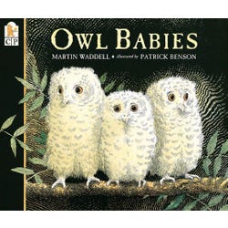 Image for Achieve It! Owl Babies Book by Martin Waddell, Grades PreK to 2 from School Specialty