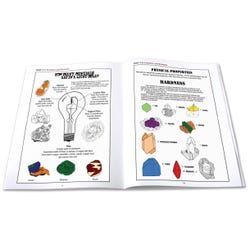 Image for NewPath Learning Minerals and Crystals Workbooks, Pack of 10 from School Specialty