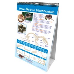 Image for NewPath Learning Owls and Owl Pellets Laminated Learning Flip Chart, Double Sided from School Specialty