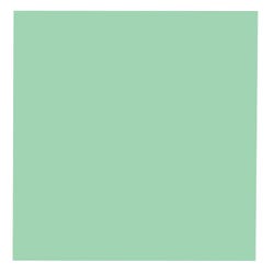 Image for School Smart Folding Bristol Board, 12 x 18 Inches, Green, Pack of 100 from School Specialty