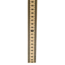 Image for Eisco Labs Wooden Meter Stick, Graduated One Side, Zero Top from School Specialty