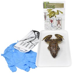 Image for Frey Choice Dissection Kit, Basic Frog from School Specialty