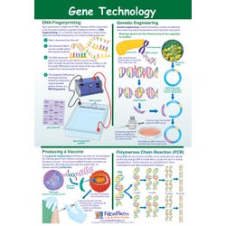 Image for NewPath Learning Gene Technology Laminated Learning Poster, 23 X 35 in from School Specialty