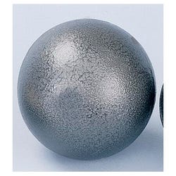 Image for Champion Cast Iron Shot Put, 8.8 Lbs from School Specialty