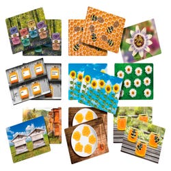 Image for Yellow Door Honey Bee Early Number Cards, Set of 16 from School Specialty