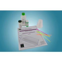 Image for Innovating Science Elephant Toothpaste Kit from School Specialty