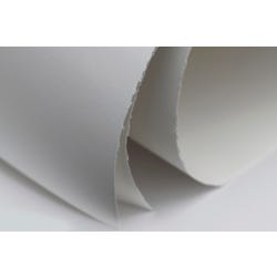Image for Speedball Arnhem 1618 Printmaking Paper, 8-1/2 x 11 Inches, 90 lb, White, 100 Sheets from School Specialty