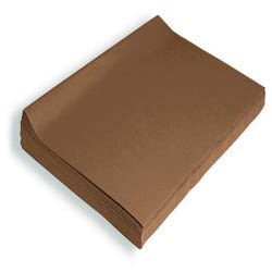 Image for Spectra Deluxe Bleeding Tissue Paper, 20 x 30 Inches, Brown, 24 Sheets from School Specialty