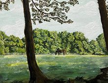 horse in a pasture