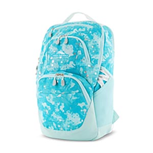 High Sierra swoop backpack art class